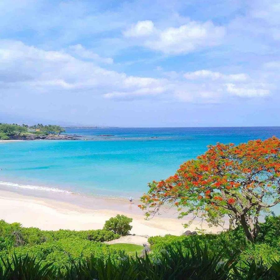 Family Friendly Kailua Bay View Ac Free Parking Walk To Kailua Village Eksteriør billede